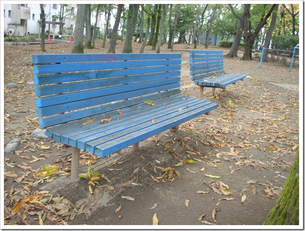 20111112_161616