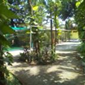 View album