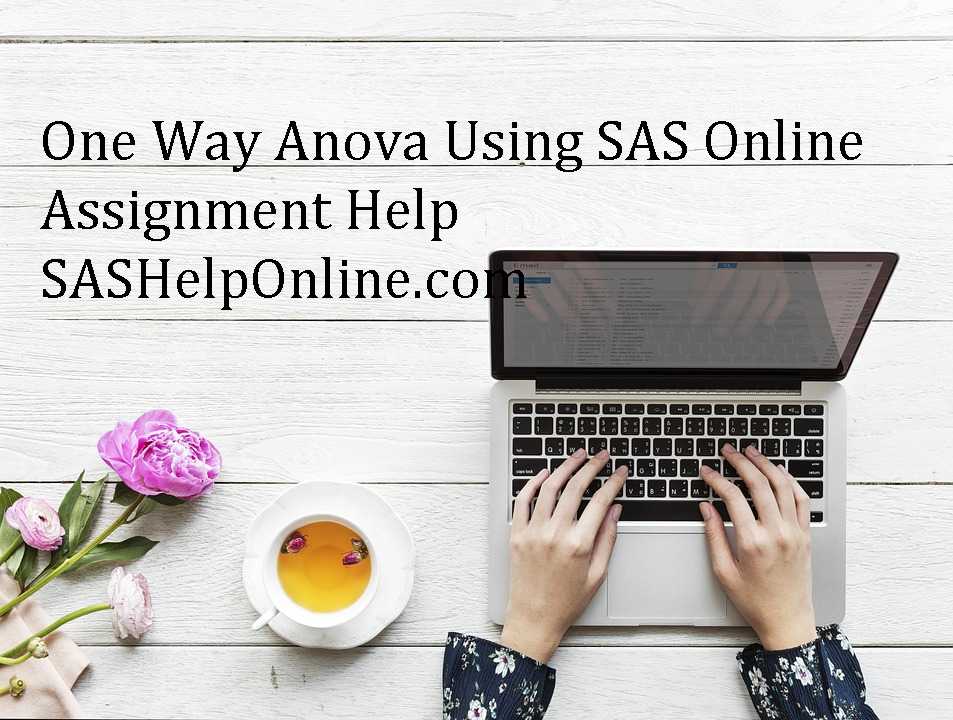 Summary Statistics Using SAS Online Assignment Help