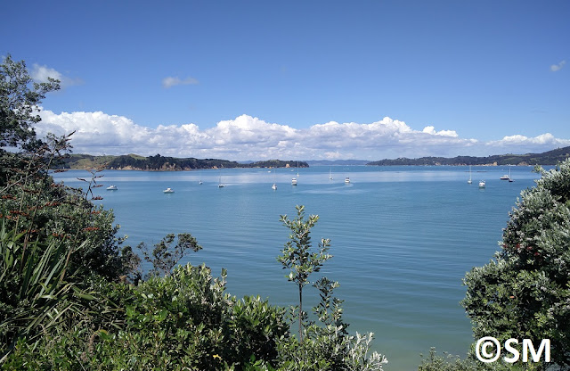 Photo de Rotoroa dans le golfe d'Hauraki Auckland Nouvelle-Zélande