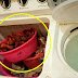 'Port plastik hitam rupanya' - Peniaga sorok makanan dalam tandas & mesin basuh kerana takut dicekup
