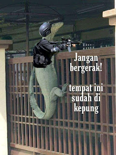  di artikel kali ini saya akan membagikan kumpulan foto meme biawak yang sempat viral di t √ 30+ Kumpulan Foto Meme Biawak Viral 2019