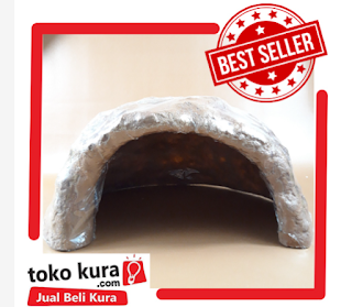 Toko Kura Adalah Store Yang Menjual Aneka Kura Sulcata, Brazil, Aldabra, Ambon | Ready Pakan, Suplemen, dan Aksesoris Kura | Phone/WA 0852-6523-5996