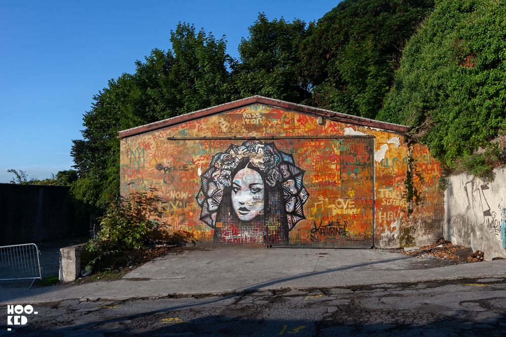 Waterford street art mural festival in Ireland