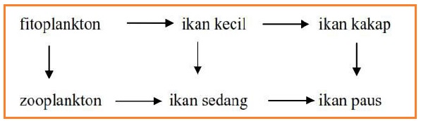 BIOLOGI GONZAGA PREDIKSI UN 2021 87 