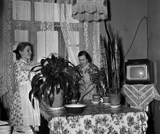 the principal mass-delivered TV in the USSR