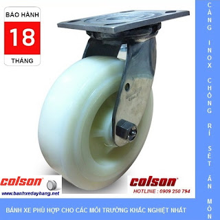 Bánh xe đẩy càng inox 304, bánh xe Nylon tải từ 295kg đến 450kg/bánh www.banhxedayhang.net