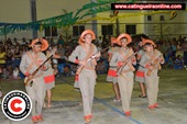 Festa 233