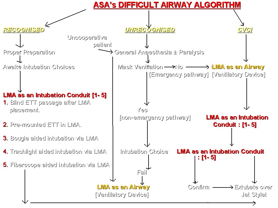 Acls Algorithms Bradycardia. ALGORITHM EXPLAINING THE ROLE