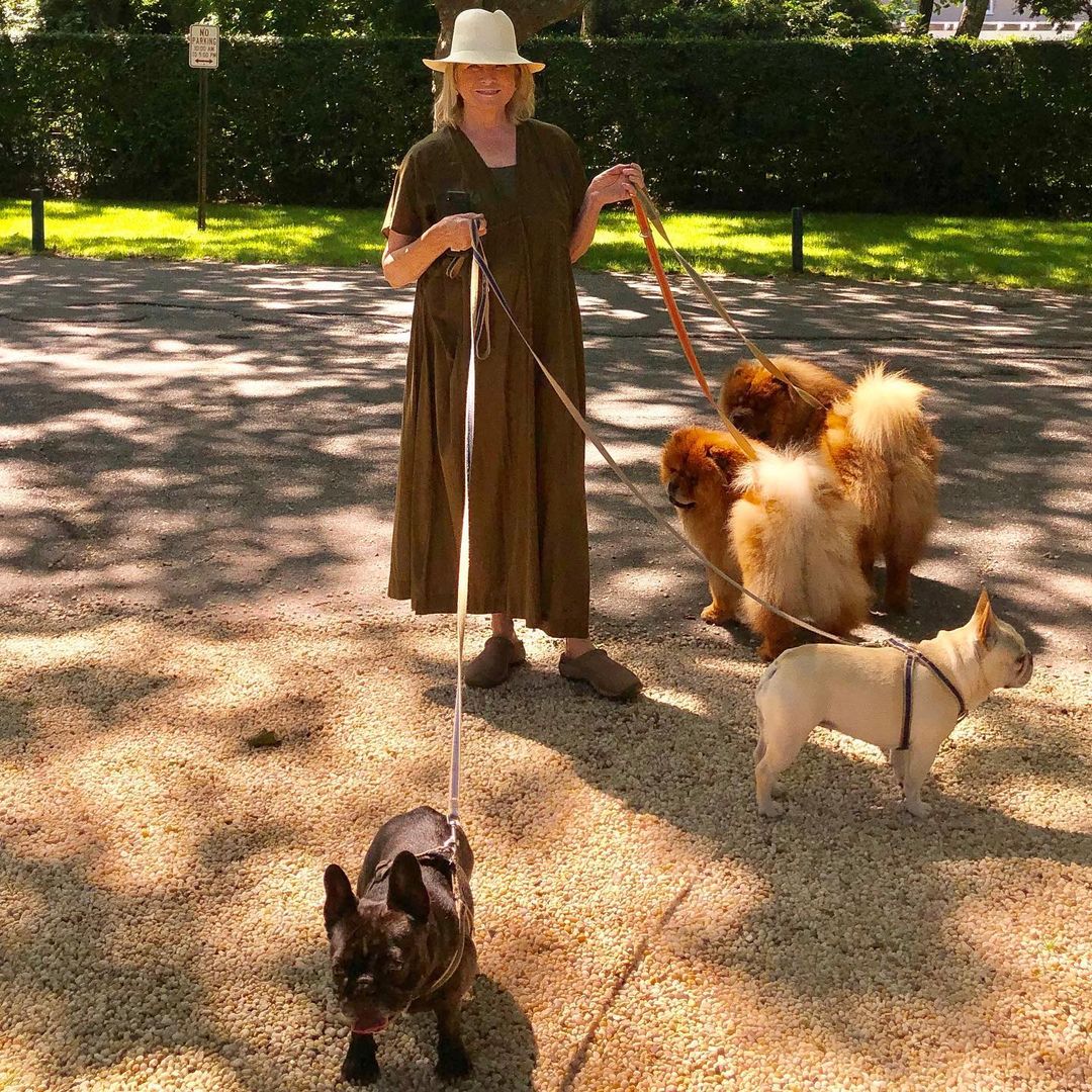 Martha Stewart and her four dogs