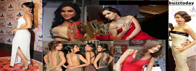 Pakistani Celebrities Doing Vulgar Dressing