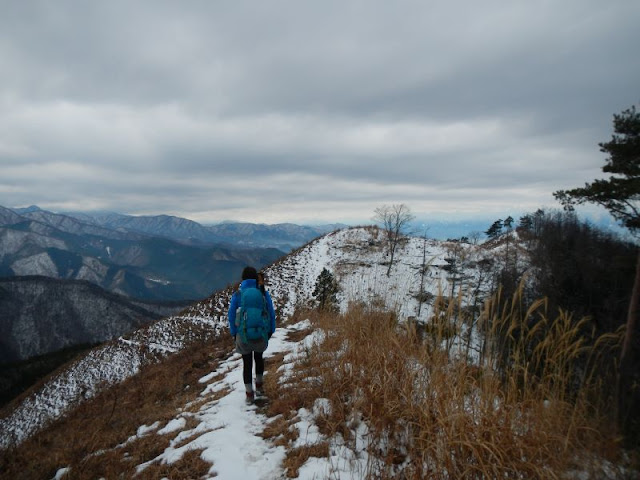 甲州高尾山の稜線