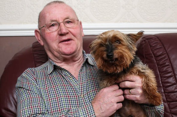 Britain's oldest dog celebrates his 117th birthday... but people still think he's a puppy