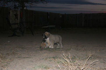 play time 7 weeks