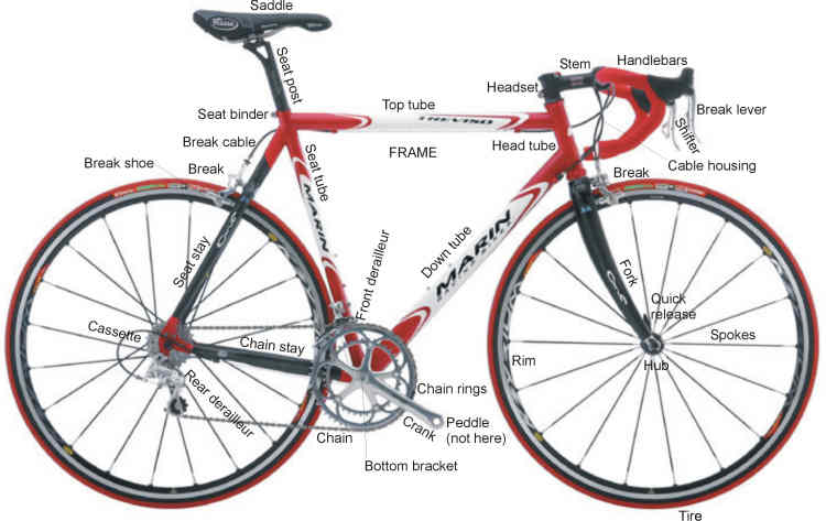 Basic knowledge About Our Bike - The Anatomy