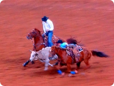 rodeo