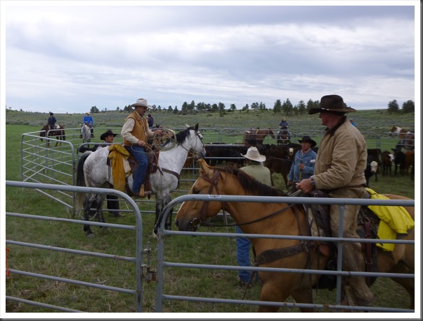 montana 2013 trail 220