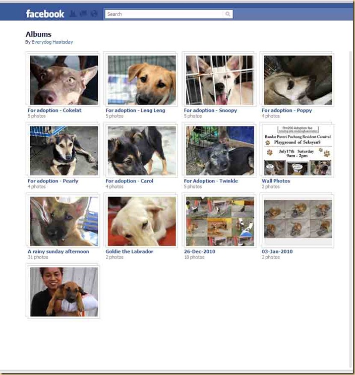 photo album