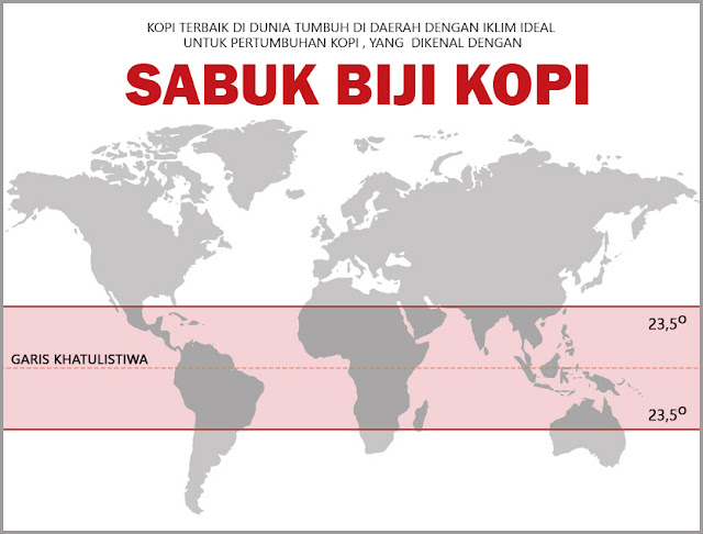 tentang sabuk biji kopi