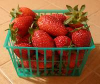 Basket of November Strawberries