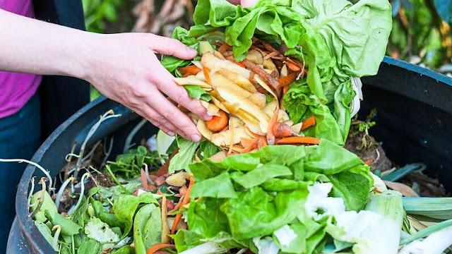 Sampah Makanan, Perilaku Mubazir dan Lingkungan Kita