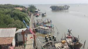 Wisata Pantai Mangrove di Muaragembong