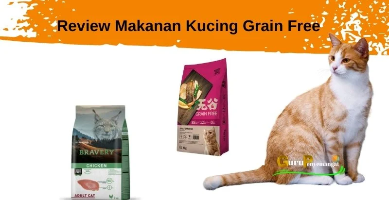 Review Makanan Kucing Grain Free