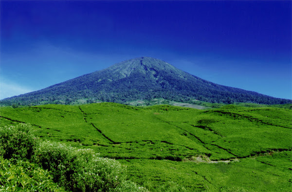 gunung dempo dan pagaralam