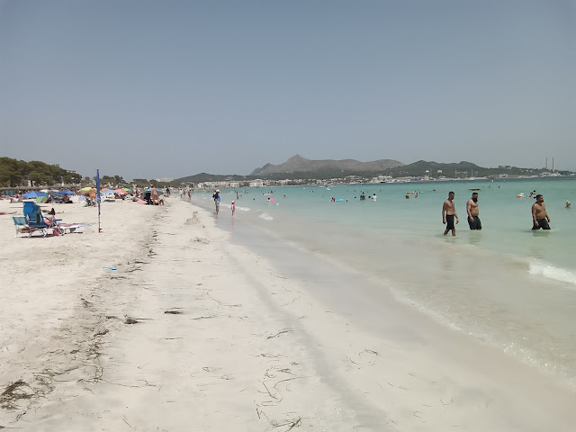 Alcudia