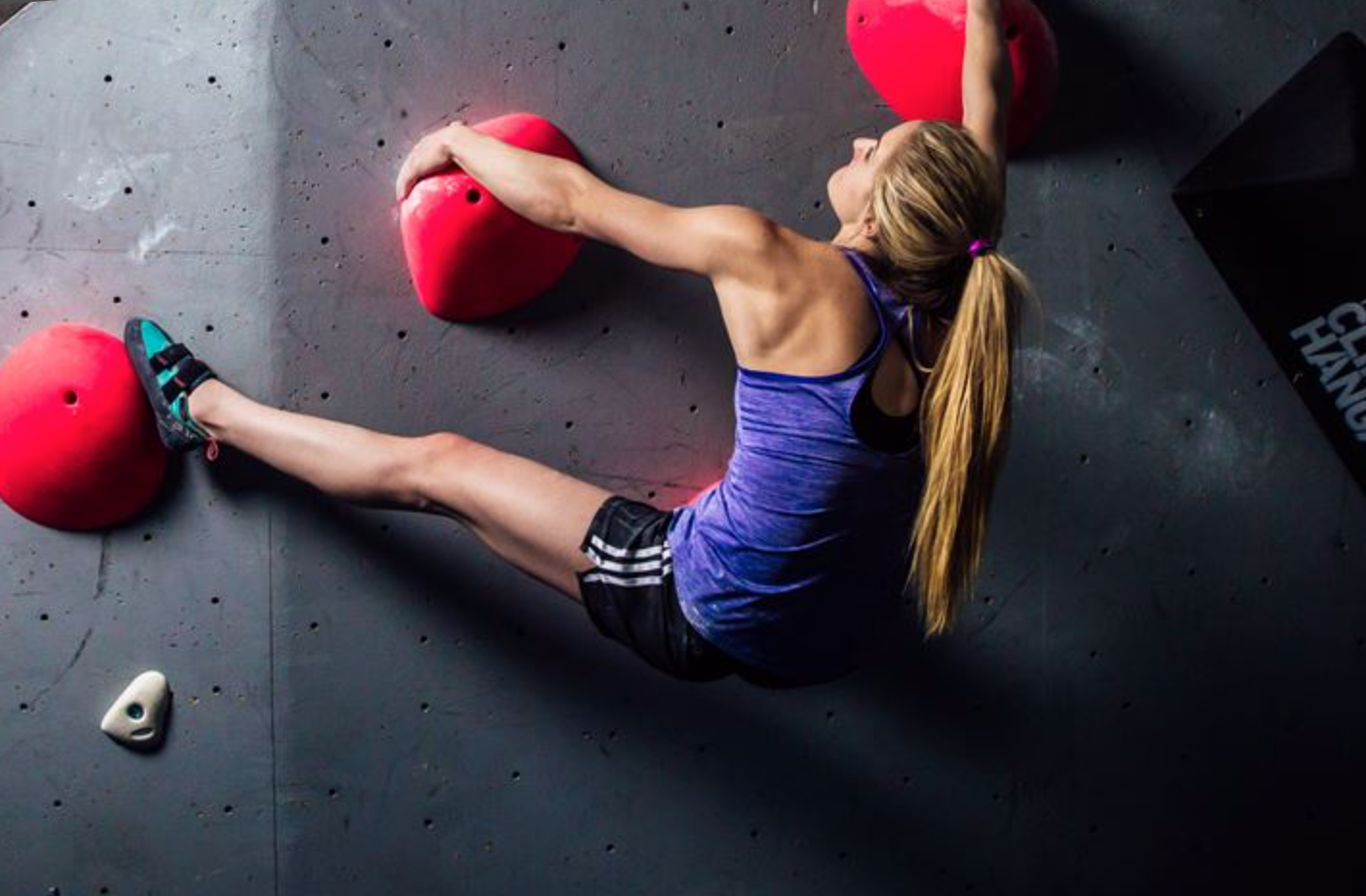 The Climbing Hangar