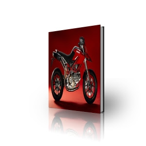 Ducati Hypermotard 1100 1100S Service Manual