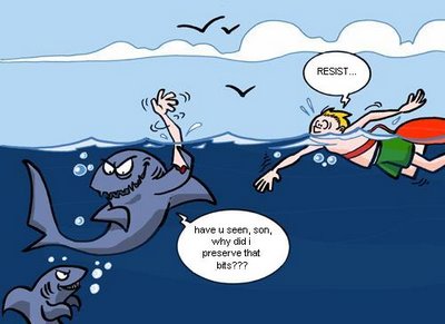 GALLERY FUNNY GAME: Funny animal jokes