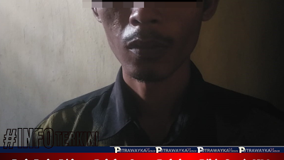 Duh Duh, Diduga Pelaku Curat Puluhan Bibit Sawit NM Diamankan Polisi