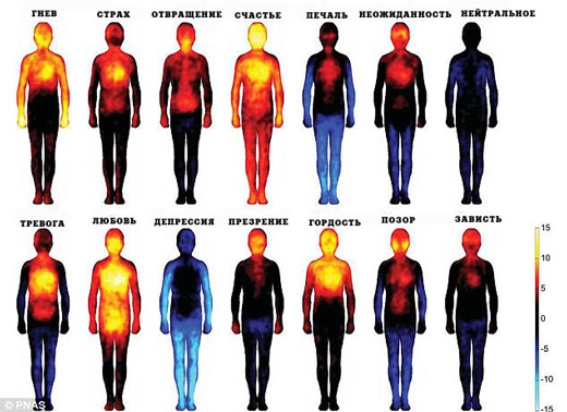 Температура тела и эмоции