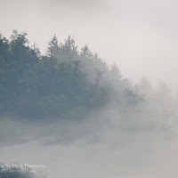Terzarima poetry: A walk in a Cold World


