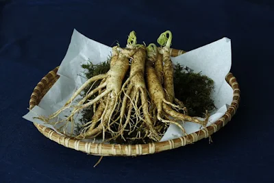 Where ginseng takes center stage, captivating our hearts, minds, and souls.