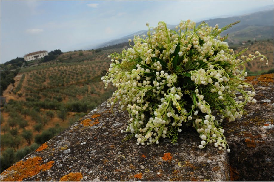 vineyardweddingbouquettuscanyitaly Legal details