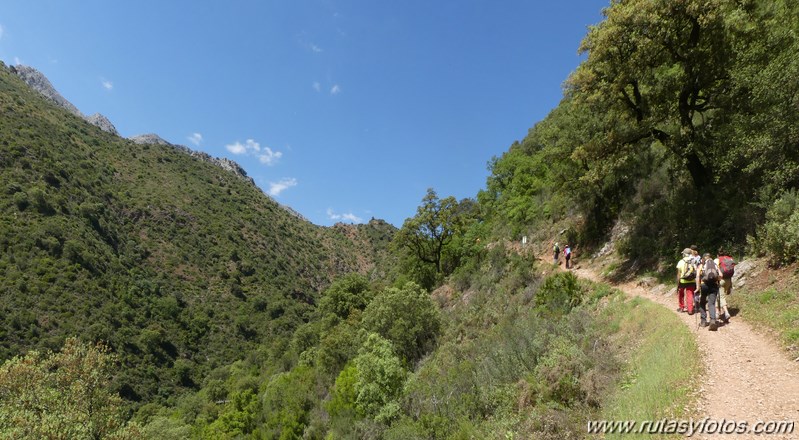 Estación de Cortes - Estación de Benaoján por el sendero del río Guadiaro