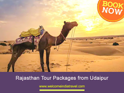 rajasthan tour packages for 6 days