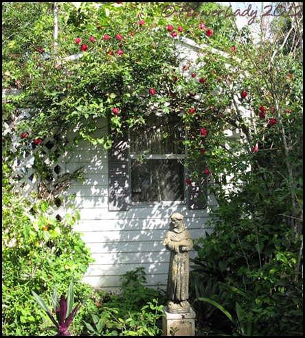 02-14-shed-gard