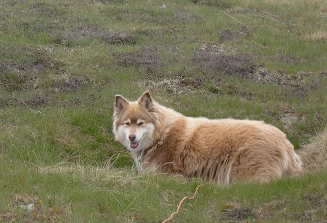 Tinn-Valdres-Sjoa juli 12024