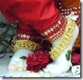 [Krishna's lotus feet]