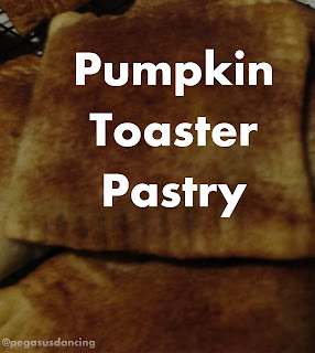 Pumpkin Toaster Pastry