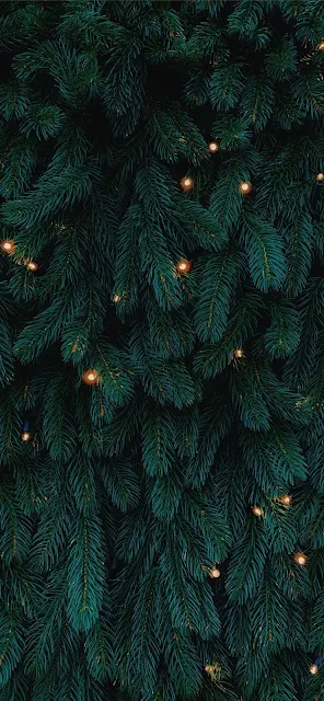 iPhone 13 Christmas Tree Lights Wallpaper