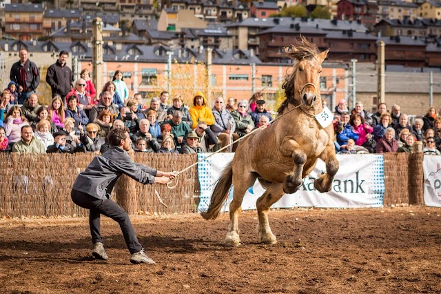 Puigcerdà recupera el concurs de cavalls, que arriba a la 40a edició en un bon moment pel sector