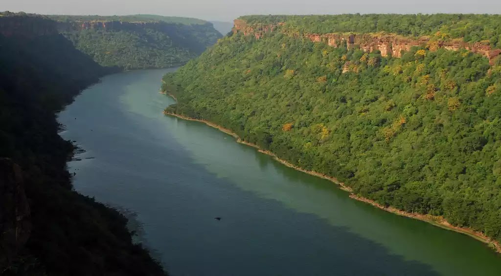 Chambal river near Rajasthan Kota