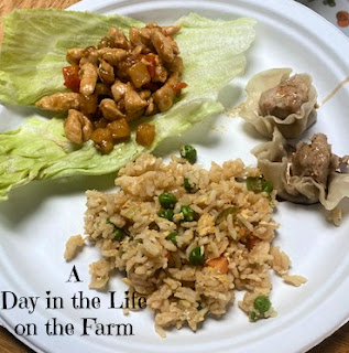 Lettuce Wraps with sides