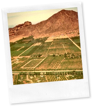 Camelback_Mountain_Arcadia_1956