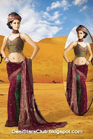 Latest Diwali Sarees Collection