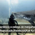 Registro de 'tubarão mordendo a cabeça de mergulhador' viraliza nas redes